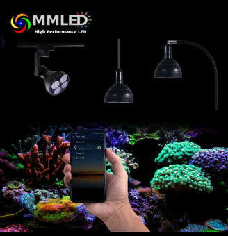 LED Pendants