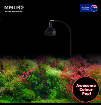 50W Flora Sun Fixed Spectrum Fresh Water Pendant & Gooseneck