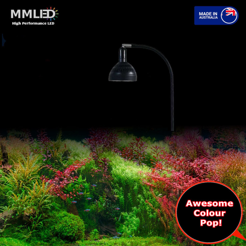 50W Flora Sun Fixed Spectrum Fresh Water Pendant & Gooseneck