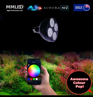 50W Colour Tunable Aurora HD2 Fresh Water Pendant Bulb Only