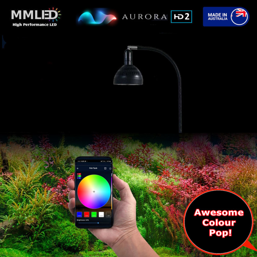 50W Aurora HD2 Pendant Set|Colour Tunable Fresh Water