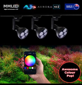 With Track Rail & Smart Lights 