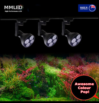 With Track Rail & Manual Dimmer