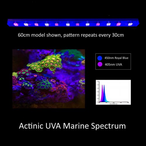 120cm Actinic UVA 1 x Linear Bar Set