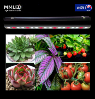 Infinity Plant Grow Light Set