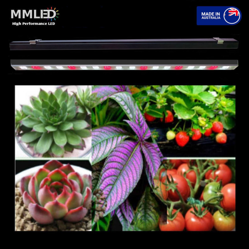 Infinity Plant Grow Spare/Replacement Light