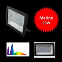 MML Coral Sun 50W Floodlight 