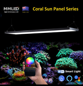 LED Panels