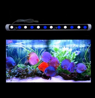 MML 60cm Royal Blue Toner XB3 Bar Only