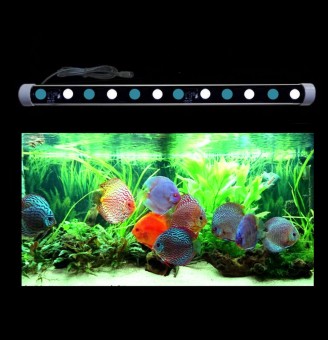 MML 30cm Cyan Green Toner XB3 Bar Only