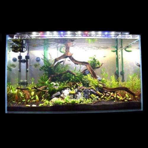 MML 60cm Flora Sun 5800K XB3 Bar Only