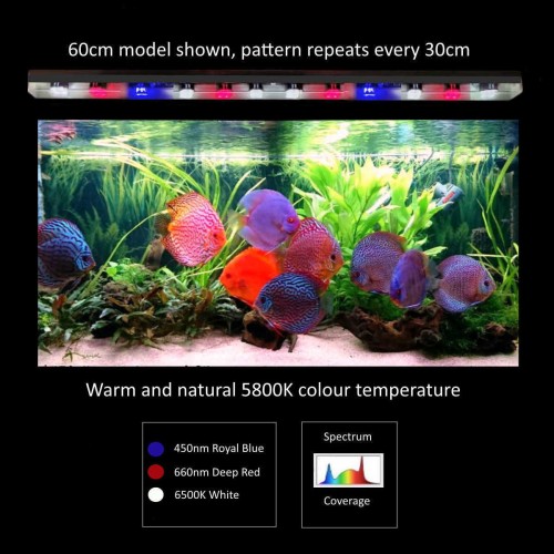 MML 60cm Flora Sun 5800K XB3 Bar Only