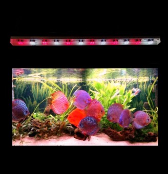 MML 60cm Deep Red Toner XB3 Bar Only