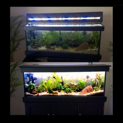 MML 60cm Flora Sun 5800K XB3 Bar Only