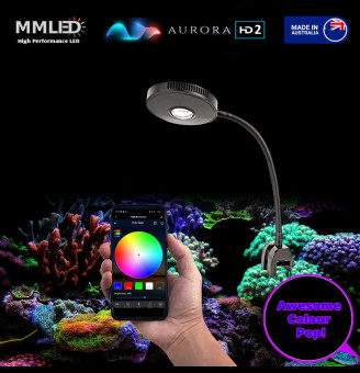 30W Colour Tunable Aurora HD2 Coral Sun Pendant & Gooseneck