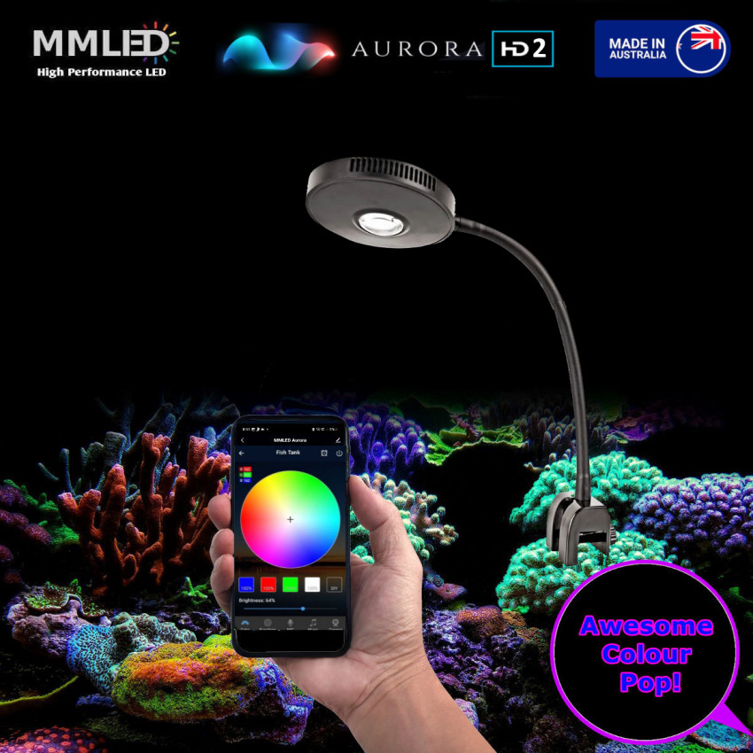 30W Colour Tunable Aurora HD2 Coral Sun Pendant & Gooseneck