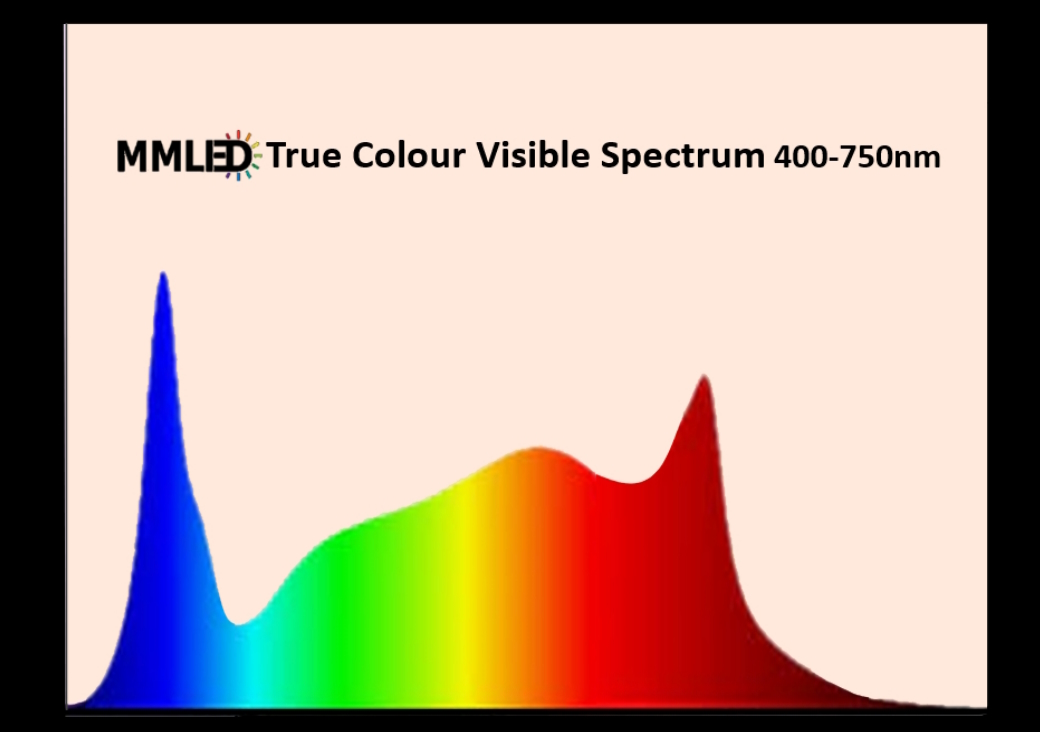 Best LED Lighting for Reptiles and Amphibians - MMLED