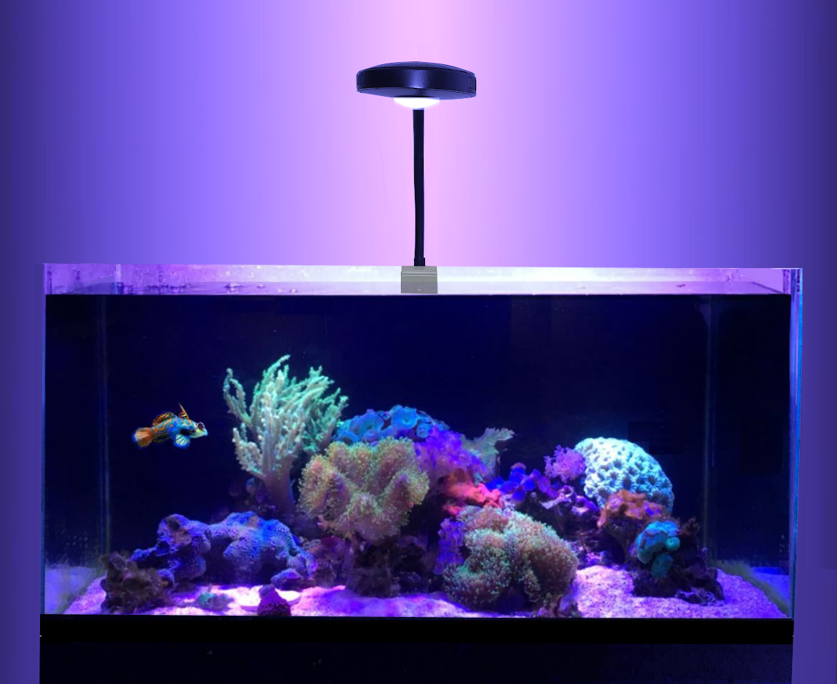 Gallery image with a fresh perspective